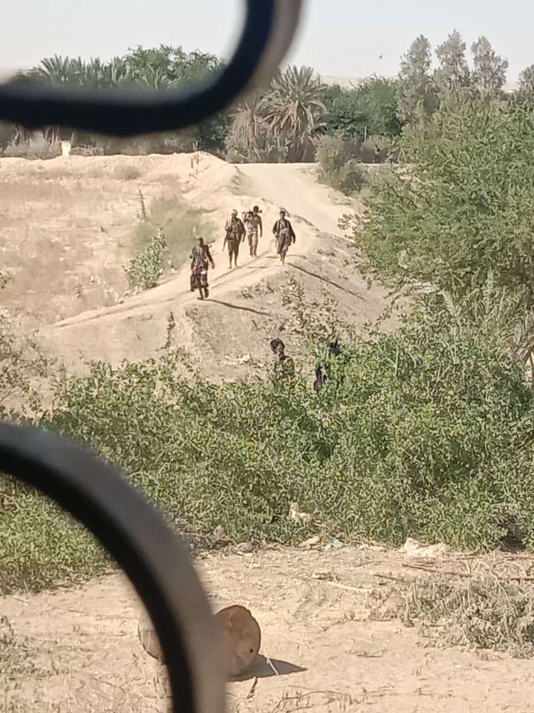 Houthi militia elements fled Usailan after the battles with the southern Amaliqa forces intensified, as eyewitnesses reported that dozens of Houthi fighters fled towards Bayhan, leaving heavy and medium weapons in their positions.