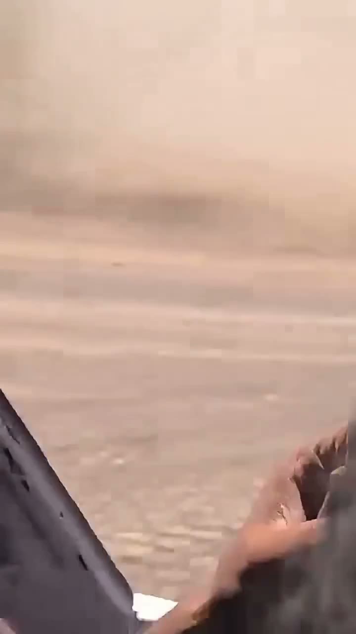 Pro-govt forces in Dhubab near Bab Al-Mandab
