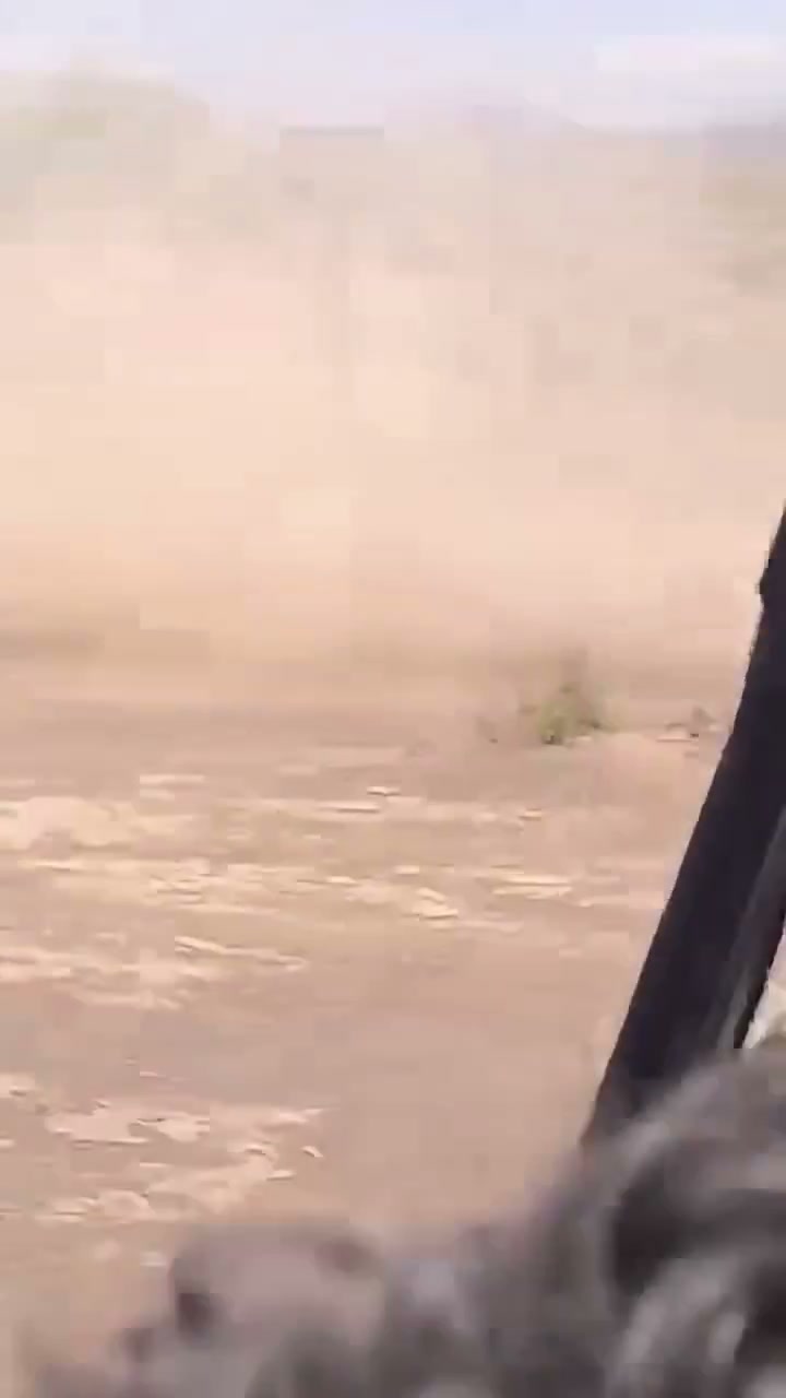 Pro-govt forces in Dhubab near Bab Al-Mandab