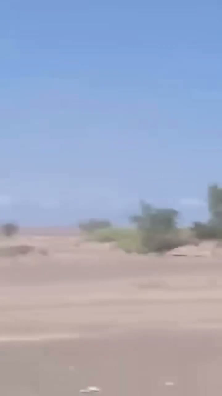 Pro-govt forces in Dhubab near Bab Al-Mandab