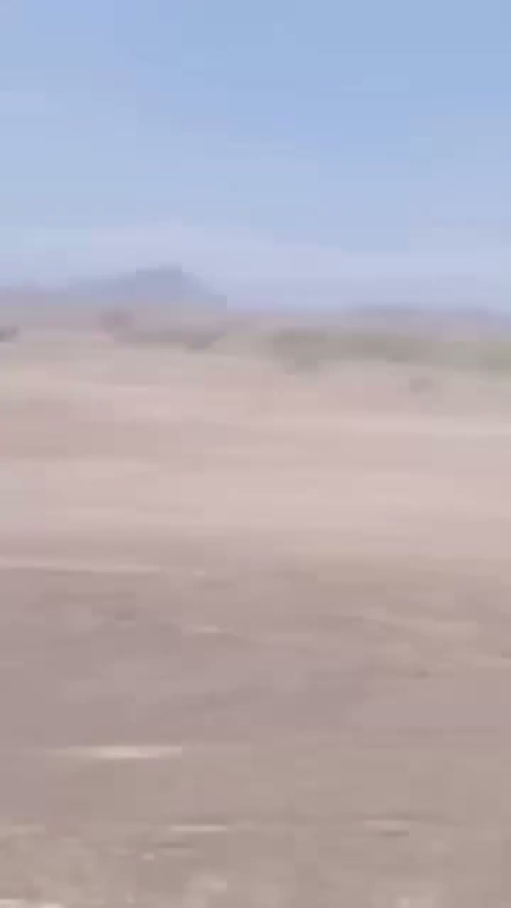 Pro-govt forces in Dhubab near Bab Al-Mandab