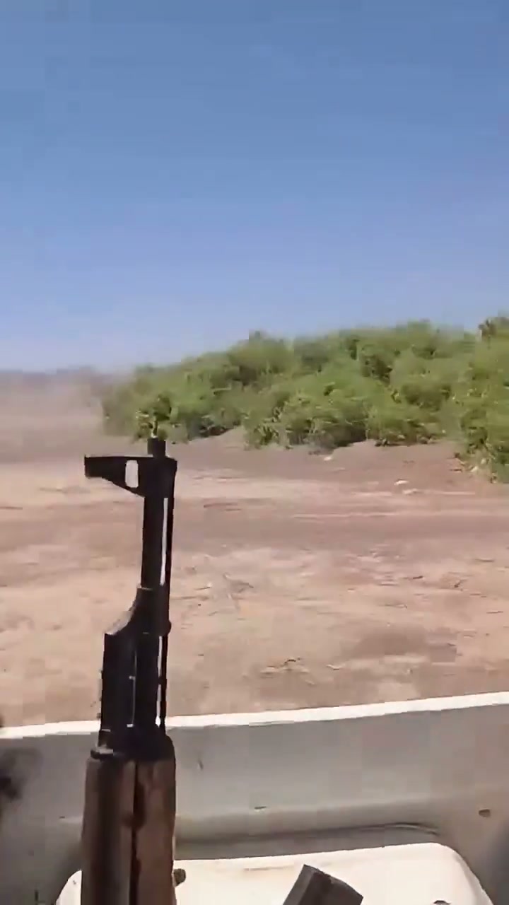 Pro-govt forces in Dhubab near Bab Al-Mandab